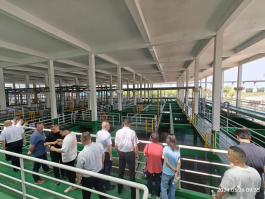 南宫NG28相信品牌的实力网址(中国游)官网