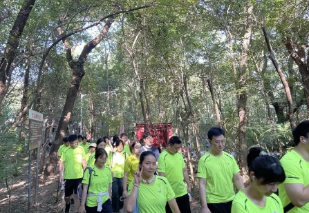 南宫NG28相信品牌的实力网址(中国游)官网